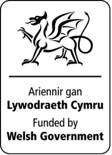 Welsh Government